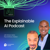 Explainable AI Podcast